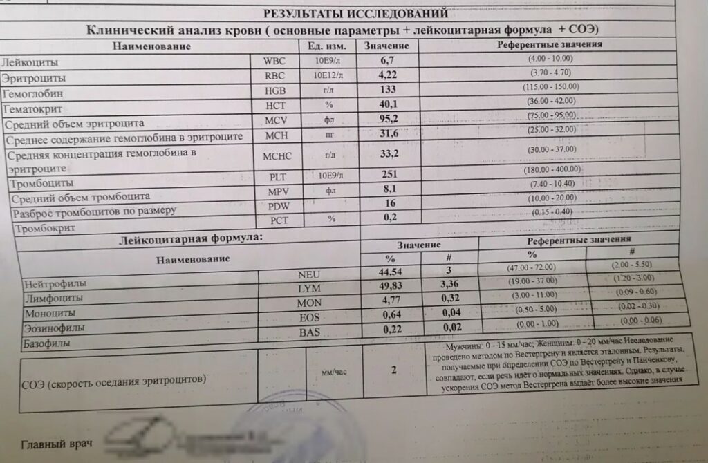 результаты общего анализа крови (оак)